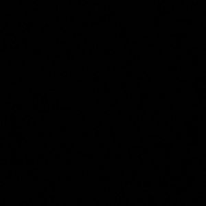 Meet your Posher, Allan